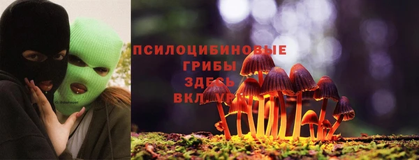 дживик Алзамай