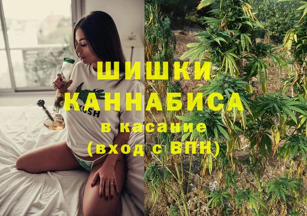 дживик Алзамай