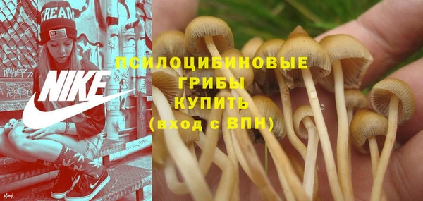 мяу мяу мука Алексин
