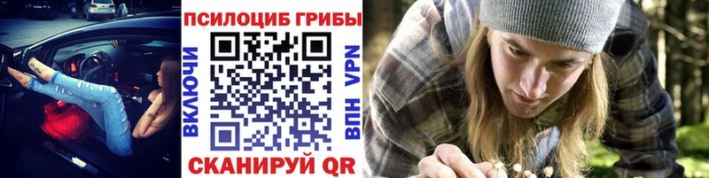 Галлюциногенные грибы Psilocybine cubensis сайты даркнета какой сайт Камызяк