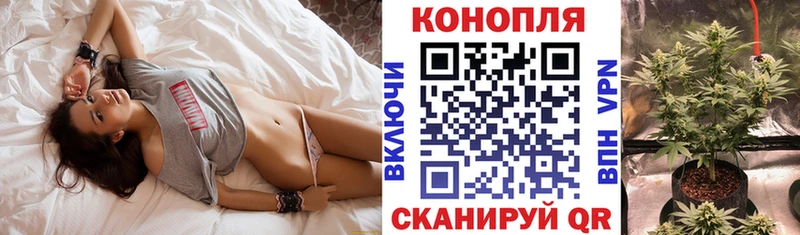 Бошки Шишки White Widow  наркотики  omg как войти  Камызяк 